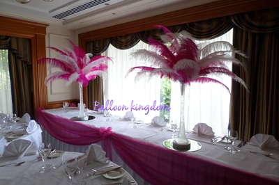 fuchsia  pink  and white ostrich feather centerpiece hire